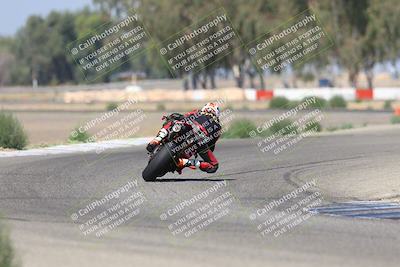 media/Sep-07-2025-Pacific Track Time (Sun) [[a6322260b9]]/C Group/Wheelie Bump/